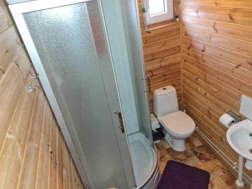a bathroom with a shower and a toilet at Toma pirts MAZĀ in Ikšķile