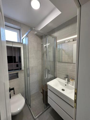 Koupelna v ubytování Apartman Mountain pine