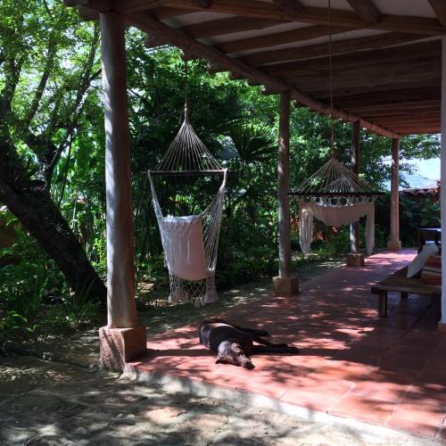 a dog laying on the ground under a pavilion at Achiotte by Masaya Collection in Barichara