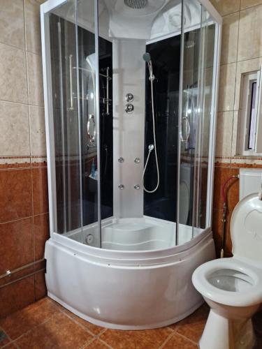 a bathroom with a shower and a toilet at Pensiunea Jianu in Albac