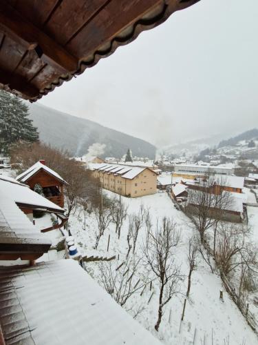 a snow covered town with houses and buildings at Pensiunea Jianu in Albac