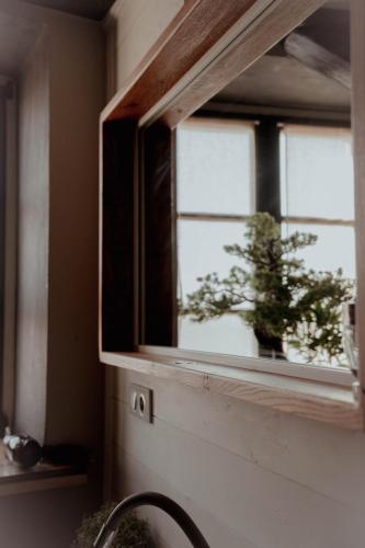a window with a potted plant in a room at Le charme atypique in Soultz-Haut-Rhin