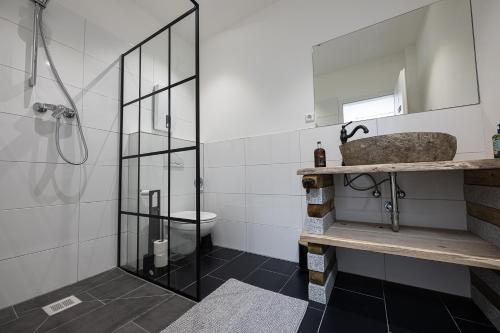 bagno con doccia, lavandino e servizi igienici di Wohnwerk Studio Petrisberg a Treviri