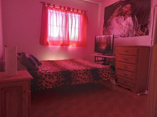 阿肖海la positiva 2的一间带床、梳妆台和电视的卧室