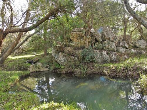 a pond in the middle of a forest with trees at Valle del Hilo de la Vida in Minas