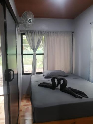 Villas Cacao – Photos 3