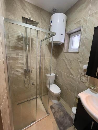 a bathroom with a shower and a toilet and a sink at Apartmani Dino Kolasin in Kolašin