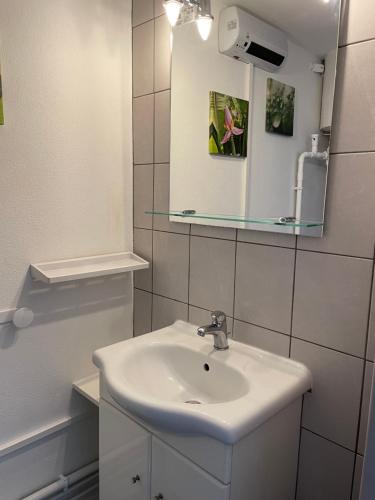 ein Bad mit einem Waschbecken und einem Spiegel in der Unterkunft Bel cantou in Royat