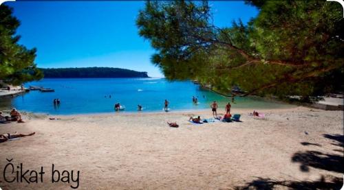 a group of people on a beach near the water at Beautiful view apartment with garage space in Mali Lošinj