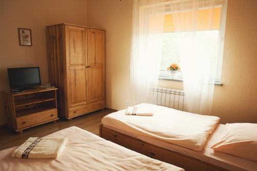 1 dormitorio con 2 camas, TV y ventana en Noclegi Moya Ameryka w Dolinie Baryczy, en Milicz