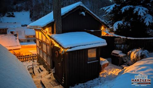 a small cabin with lights in the snow at Arode Hütte Harzilein - Romantic tiny house on the edge of the forest in Zorge