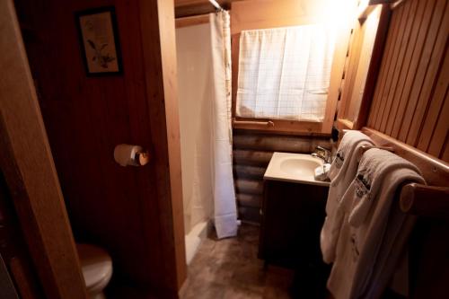 uma pequena casa de banho com lavatório e WC em Experience Montana Cabins - Wildflower #3 em Bigfork