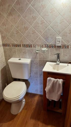 un baño con inodoro y lavabo en Alojamientos ANSAI 1, en El Bolsón