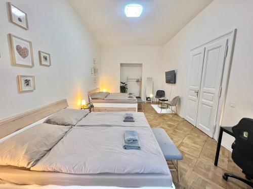 Afbeelding uit fotogalerij van Spacious 2BDR apartment with balcony in Wenceslas Square in Praag