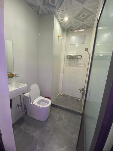 uma casa de banho com um WC, um lavatório e um chuveiro em Trung Hiếu em áº¤p VÄ©nh ÃÃ´ng
