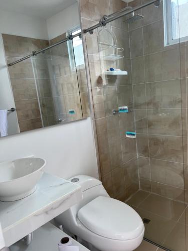 a bathroom with a shower and a toilet and a sink at Compostela Cabañas Gigante in Gigante