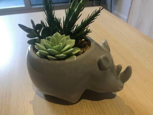 a pot shaped like a pig with a plant in it at Nest Apartments on Rose Lane in Melbourne