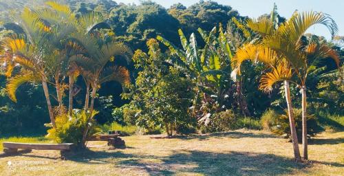a park with palm trees and a bench at Cantinho da Rota in São Roque