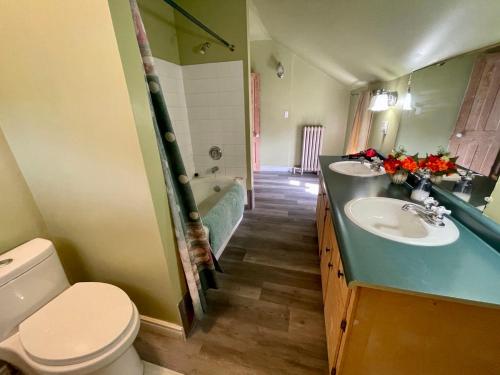 a bathroom with a toilet and a sink and a tub at ROOM D IN THE WHITE HOUSE in Niagara Falls