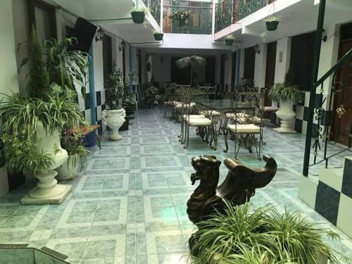 a courtyard with a cat statue in the middle of a building at HOSTAL FAMILIAR FG in Cochabamba