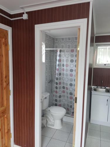 a bathroom with a toilet and a shower at Mini cabaña nueva independiente in Temuco