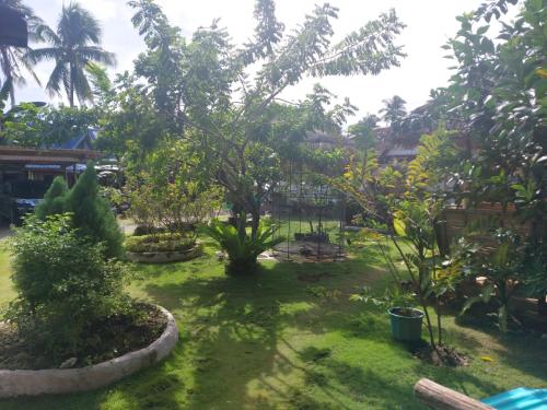 a garden with trees and plants in a yard at Gardenview Homestay Siargao in General Luna