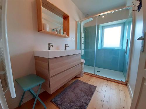 ein Bad mit einem Waschbecken und einer Glasdusche in der Unterkunft Gîte Coulonges, 4 pièces, 6 personnes - FR-1-653-127 in Coulonges