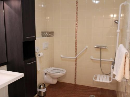 a bathroom with a toilet and a shower at Gîte éco-responsable avec jardin, internet, chambres équipées et adaptés PMR - FR-1-489-484 in Mesples