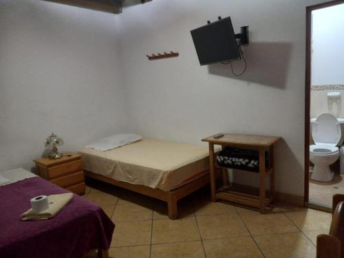 a bedroom with a bed and a toilet and a tv at Hospedaje Flores in Nazca