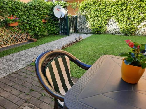 a table with a chair and a plant on a patio at La casa di Davide con giardino e garage in Verona