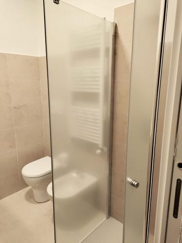 a bathroom with a shower with a toilet at Roma amoR Vitinia in Vitinia