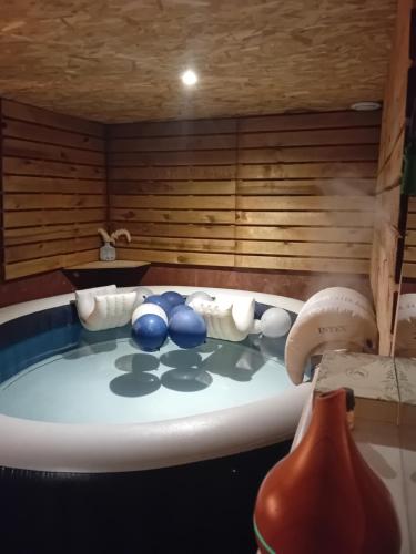 APPART sur l'EAU SPA Proche PARIS