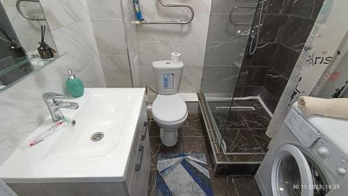 La salle de bains est pourvue d'un lavabo, de toilettes et d'une douche. dans l'établissement 1 комн квартира, à Taldykolʼ