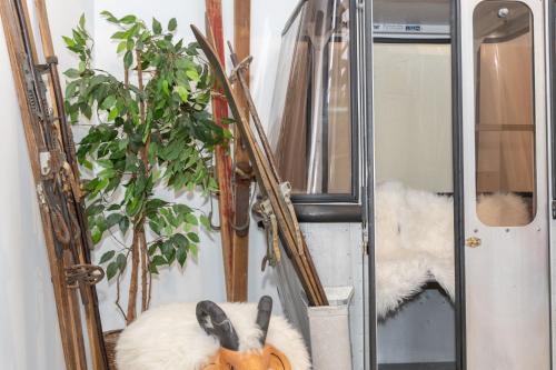 ザコパネにあるPensjonat Janosikの鏡とカボチャと植物のある部屋