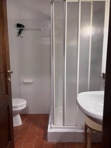 a bathroom with a shower and a toilet and a sink at Fattoria Agriturismo Nerbona in Casole dʼElsa