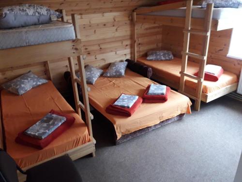 Zimmer mit 2 Etagenbetten und einer Leiter in der Unterkunft Toma pirts LIELĀ in Ikšķile