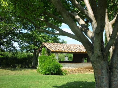a pavilion in a park with a tree at Fattoria Agriturismo Nerbona in Casole dʼElsa