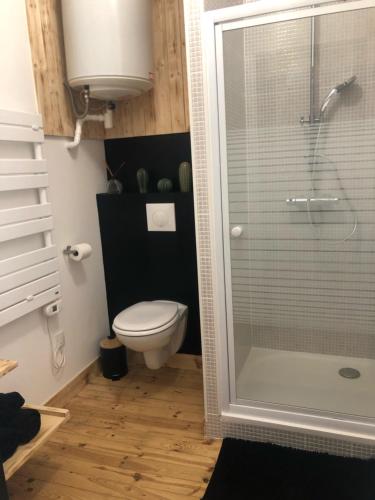 a bathroom with a toilet and a glass shower at Appartements coeur de ville de Vichy in Vichy