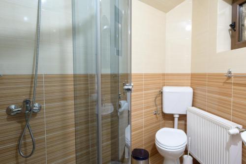 a bathroom with a toilet and a glass shower at Pensiunea Marinela in Sighetu Marmaţiei