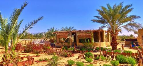a house in the middle of a field with palm trees at Santarya hotel in Siwa