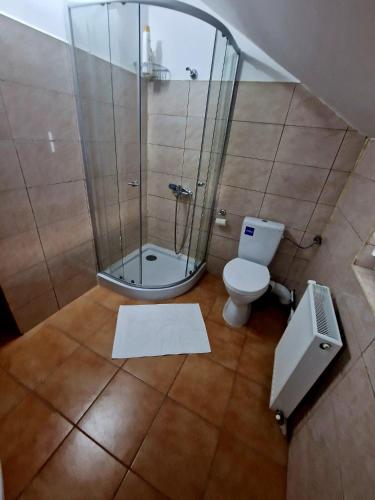 a bathroom with a shower and a toilet at Casa La Buni in Buşteni