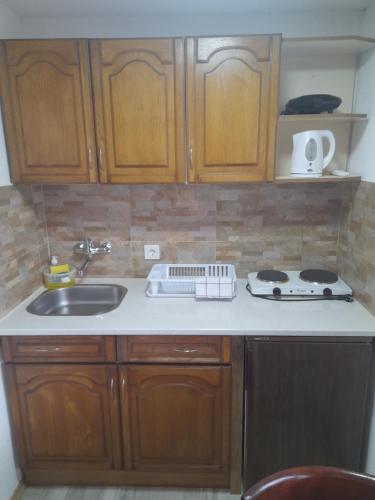 a kitchen counter with a sink and a stove at Apartment Matej in Kruševo