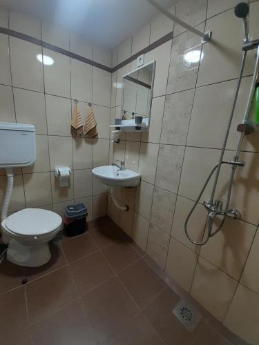y baño con aseo, lavabo y ducha. en Apartment Matej, en Kruševo