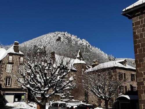 Bel appartement de 2 chambres a Vic-sur-Cere