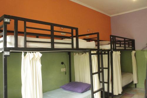 two bunk beds in a room with a room with two beds at ViaVia Guesthouse in Yogyakarta