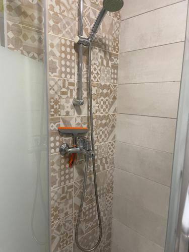 une douche avec pommeau de douche dans une salle de bain dans l'établissement Appartement meublé Porto vecchio, à Porto-Vecchio