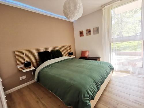 Un dormitorio con una cama grande y una ventana en Bel Appartement avec jardin privé au calme, en Estrasburgo