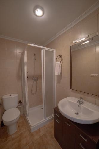 a bathroom with a shower and a toilet and a sink at Apartamentos Berrocal in Alcalá del Júcar