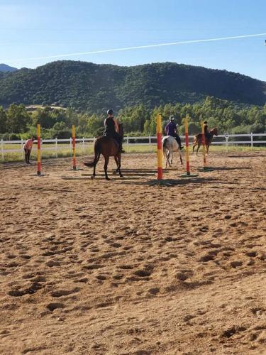 a group of people riding horses on a track at Hotel Domu Incantada in Muravera
