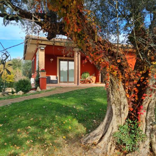 a red house with a tree in the foreground at Selva Castalda in Tuscania